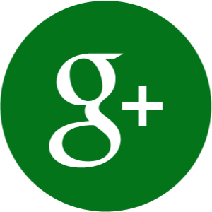 Google Plus icon