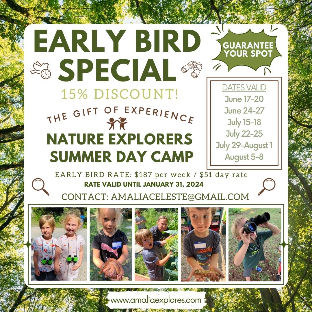Summer 2024 Early Bird Discount – Amalia Explores